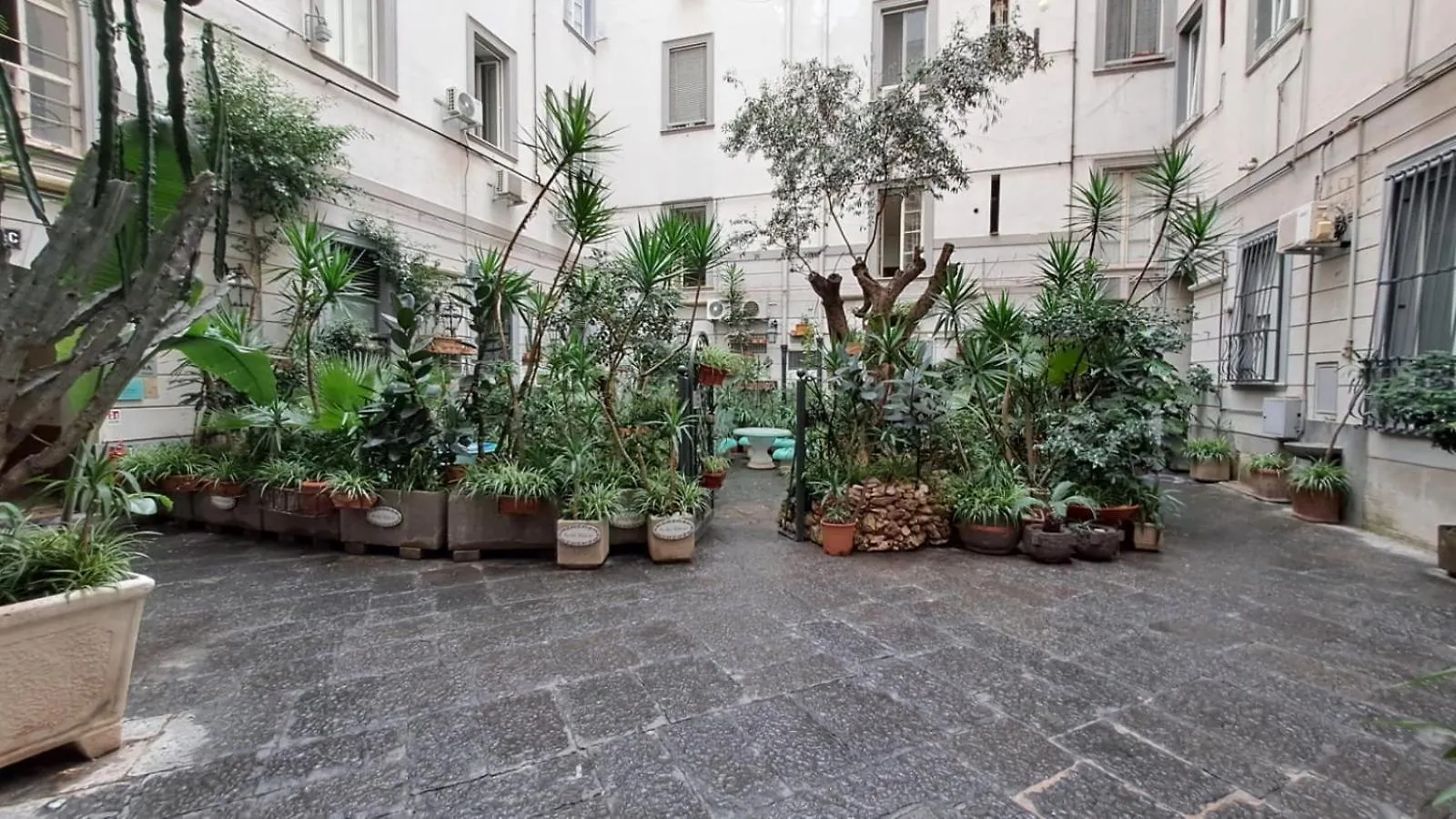 Ta-49 Bed E Breakfast Bed & Breakfast Naples Italy